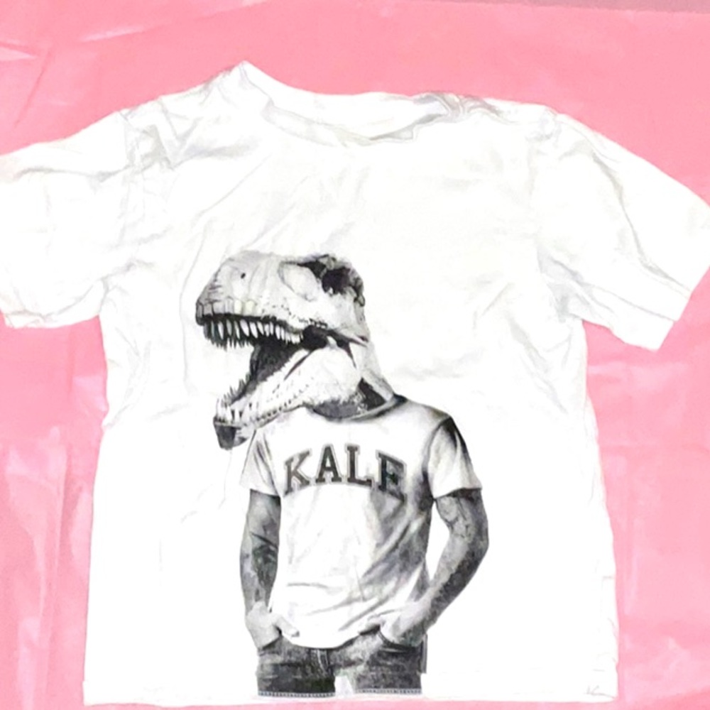 Boys Kale Dino T-shirt